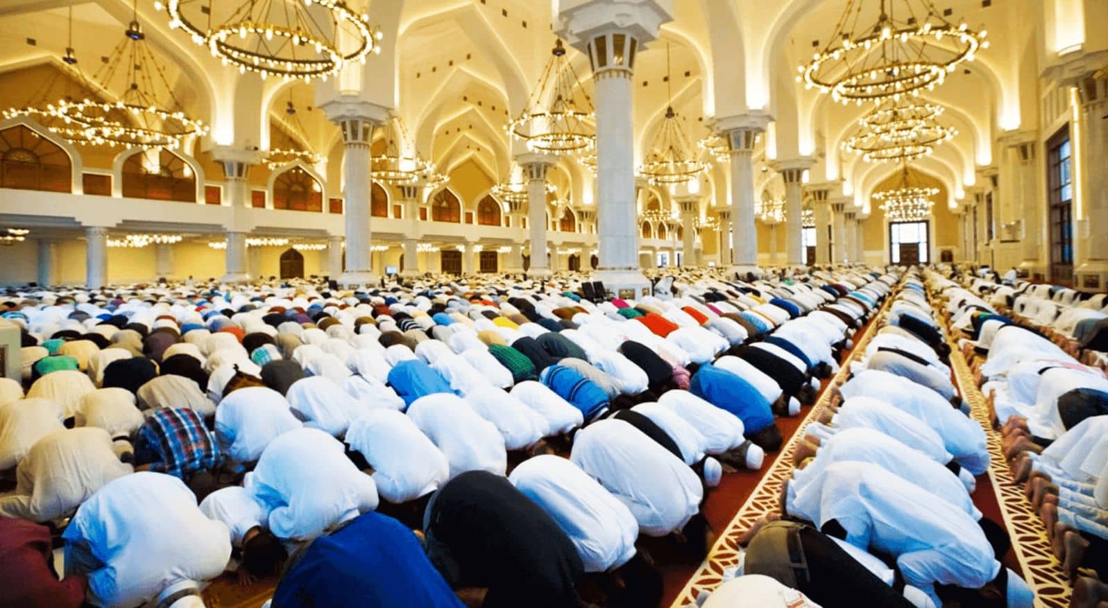 Salat Aid